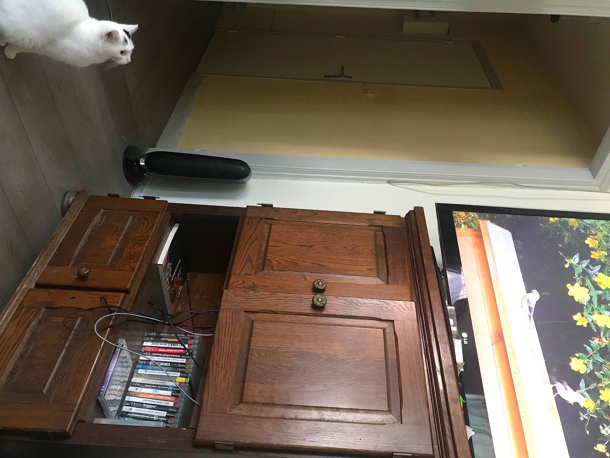 Chipie participe au concours pour gagner de l'argent avec cette photo : floor, furniture, room, table, wood