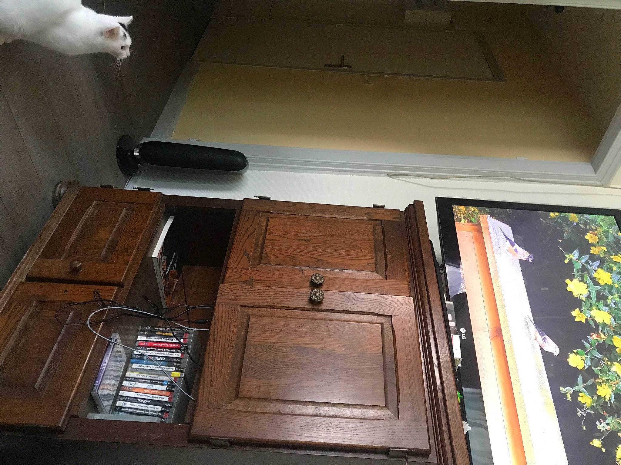 Chipie participe au concours pour gagner de l'argent avec cette photo : floor, furniture, room, table