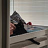 cat, black_cat, pet, animal, face, eyes, ears, whiskers, lounging, sitting, bed, pet_bed, bunk_bed, blanket, pillow, zebra_pattern, window, blinds, indoor, cozy