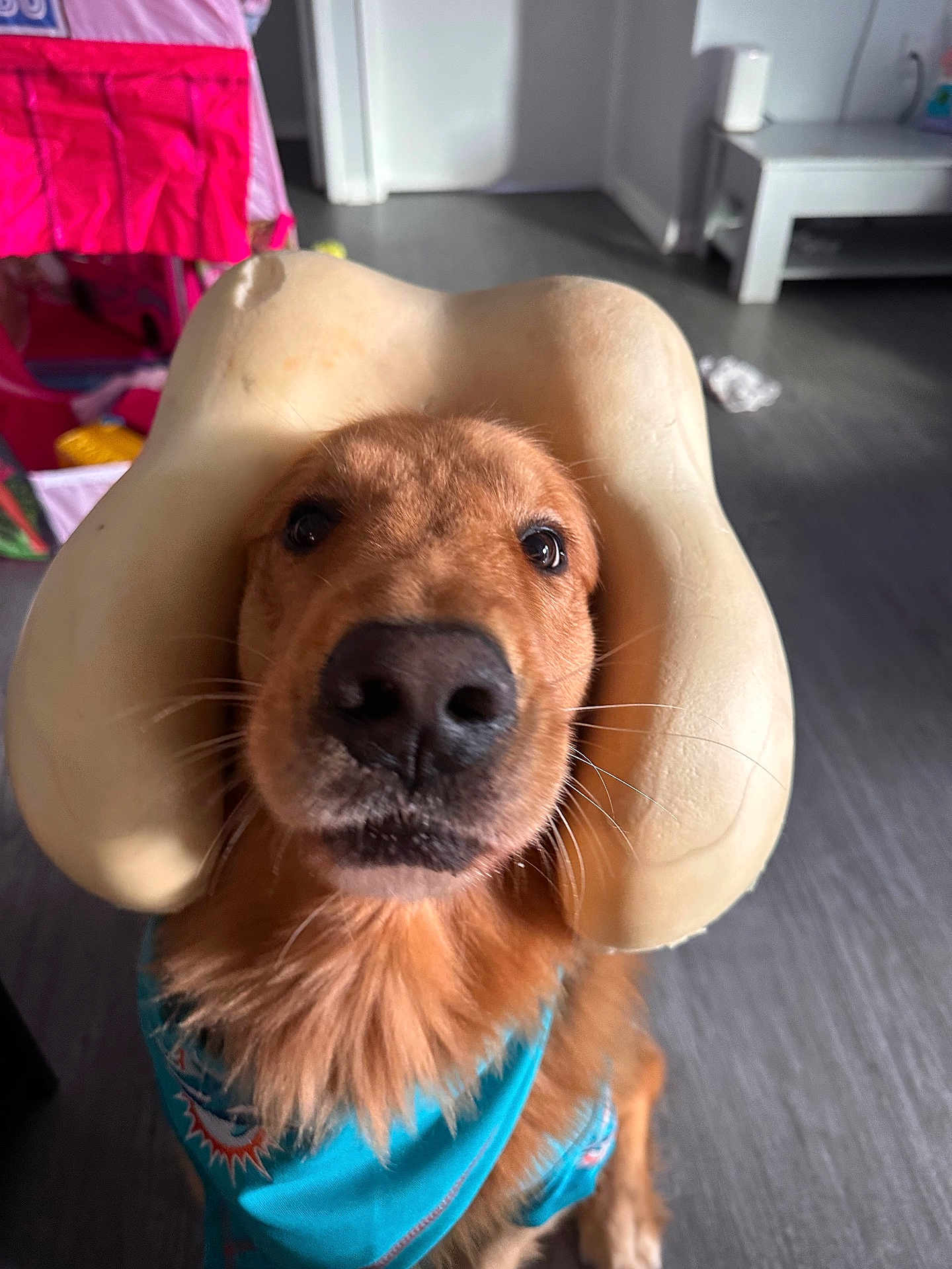 Bruno