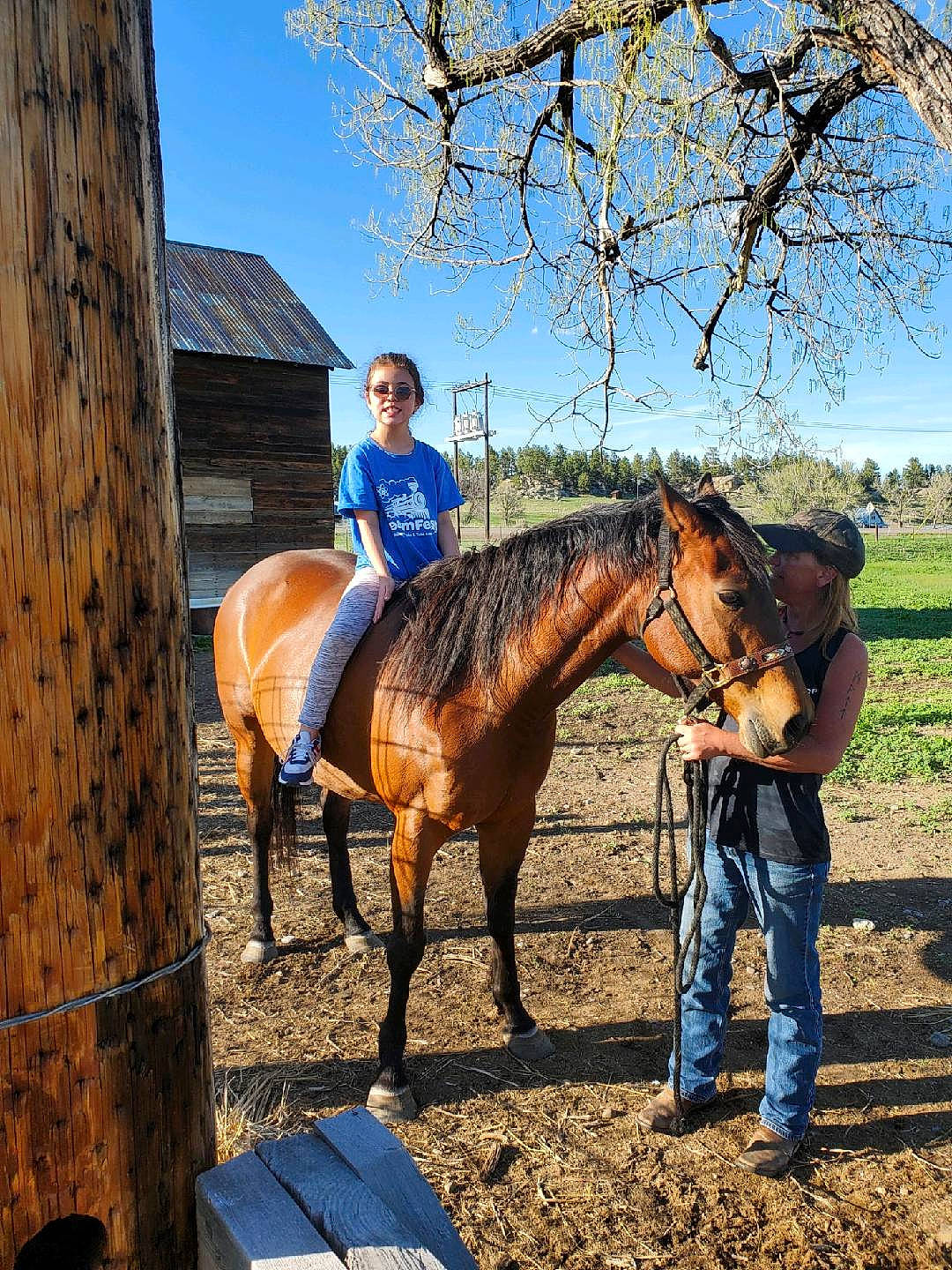 Angelica joined the competition — help win amazing prizes! bit, bridle, english_riding, equestrian_helmet, equestrian_sport, equestrianism, headwear, horse, horse_supplies, horse_tack, joy, landscape, leisure, mane, pack_animal, person, plant, rein, saddle, sky