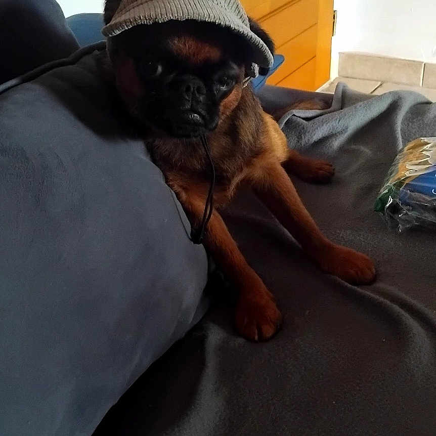 Aldo