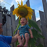 Samael joined the competition — help win amazing prizes! baby, infant, sunflower, flower, plant, smiling, happy, outdoor, fence, person, blue_sky, green_leaves, nature, holding, portrait, headwear_illusion, summer, daylight, closeup, human