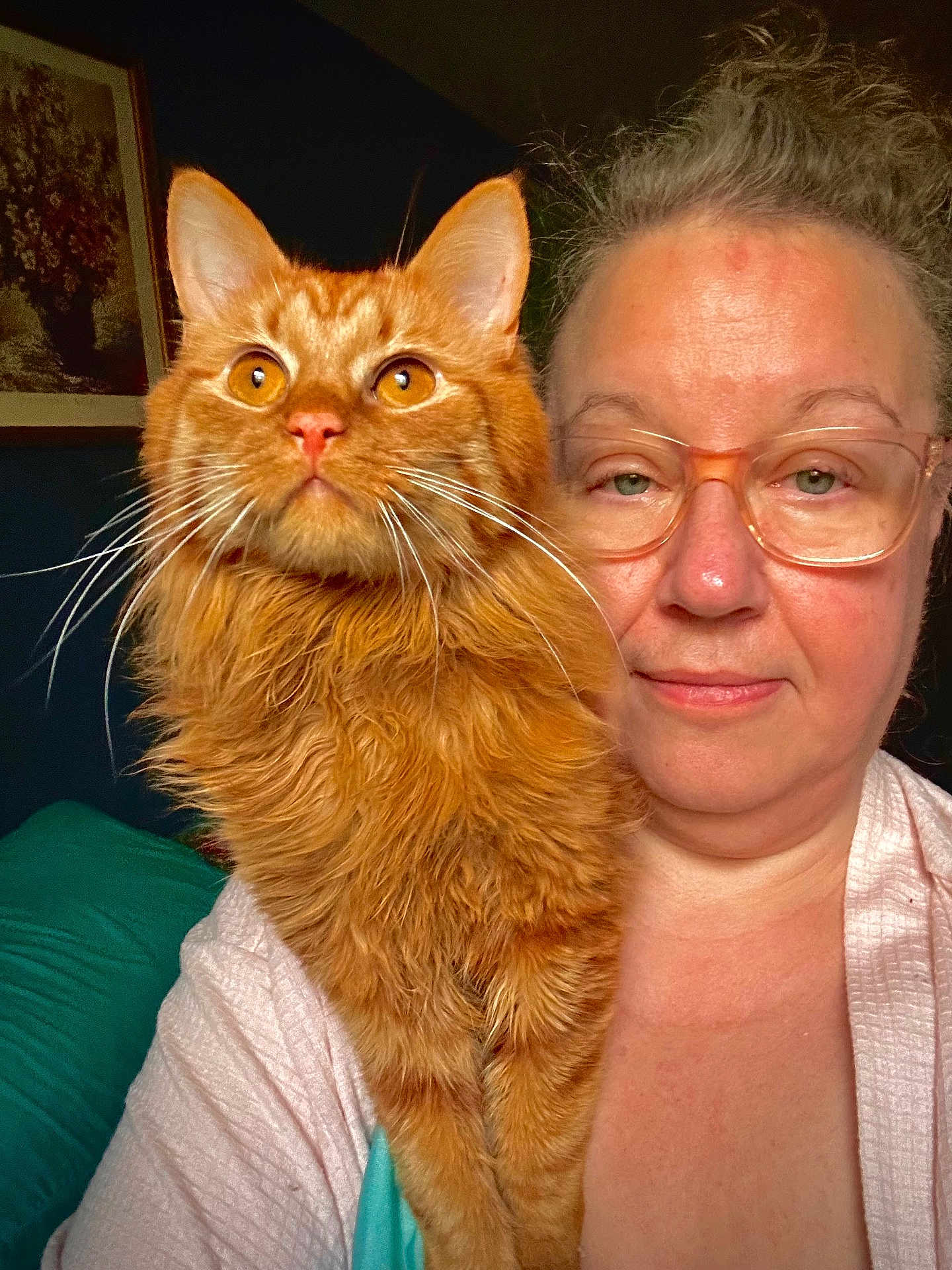 Mookie is registered to the contest to win money with this photo: woman, cat, glasses, orange_cat, indoor, portrait, pet, fluffy_cat, shoulder, face, person, closeup, feline, domestic_animal, home, casual, adult, hair, expression, eyewear