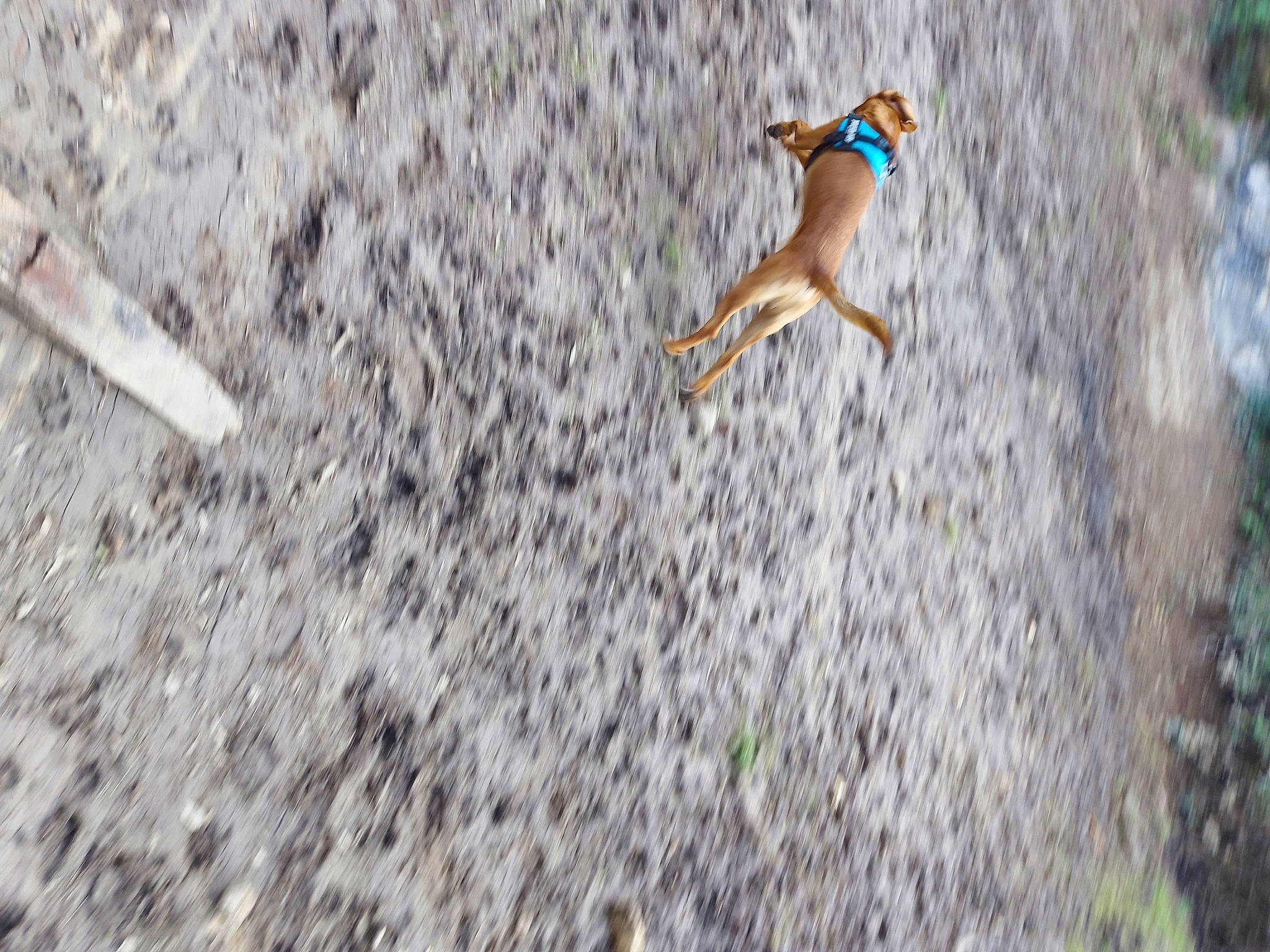 Ranger a rejoint le concours — aidez-le/la à gagner de superbes lots ! adventure, asphalt, barefoot, competition, concrete, extreme_sport, freezing, fun, grass, human_leg, leisure, people_in_nature, recreation, rock, slope, soil, sports, swimwear, wind_wave, wood