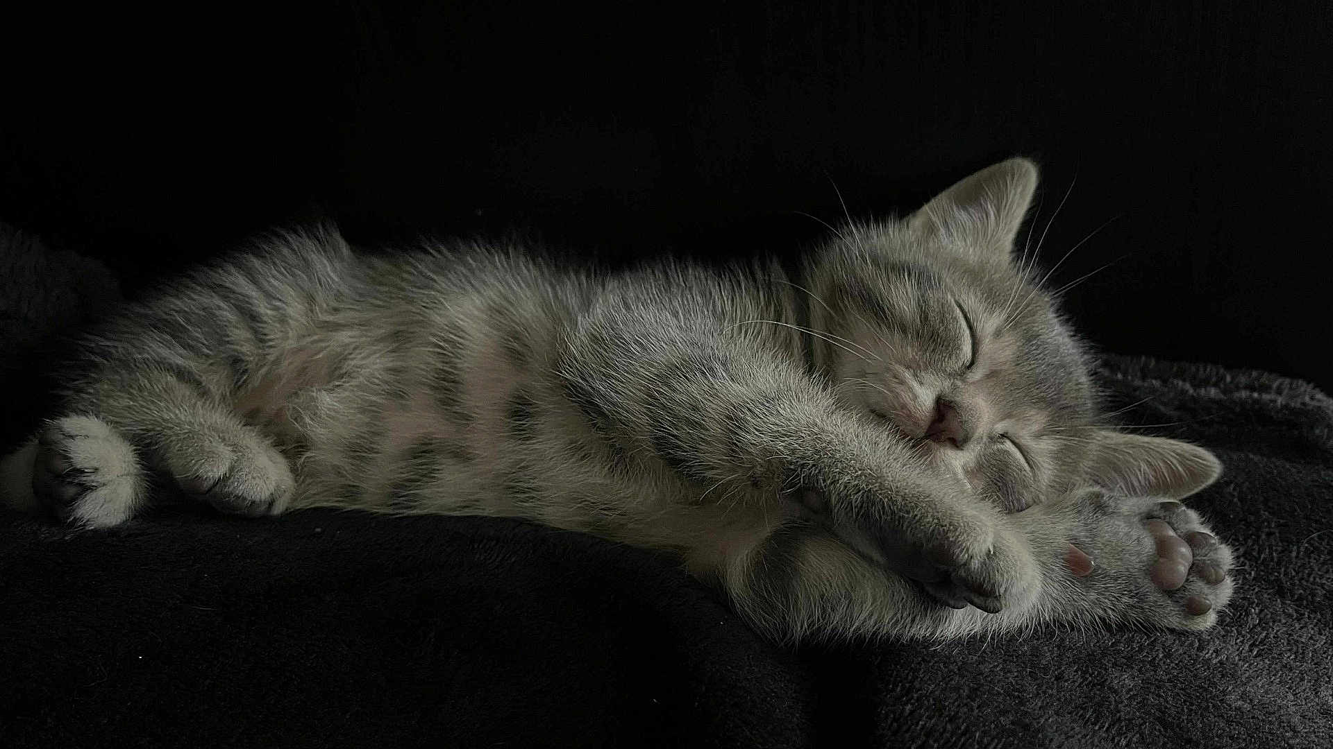 Aslan