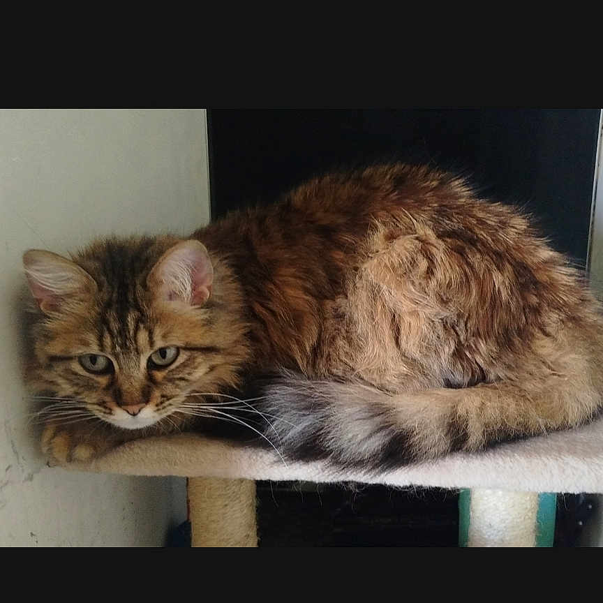 Marley