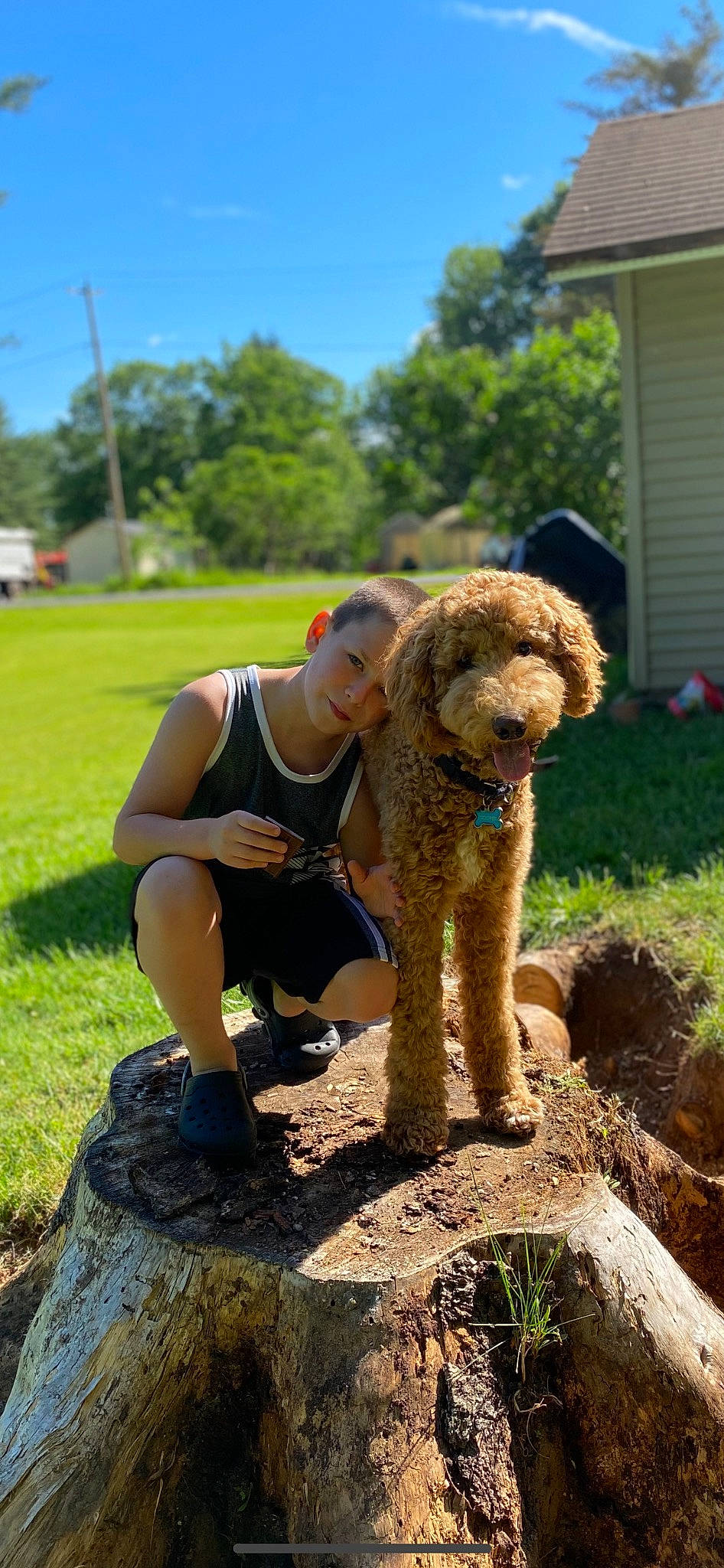 Connor joined the competition — help win amazing prizes! canidae, carnivore, companion_dog, dog, dog_breed, fawn, fun, grass, happy, landscape, leisure, person, plant, poodle, sky, smile, soil, sporting_group, tree, water_dog