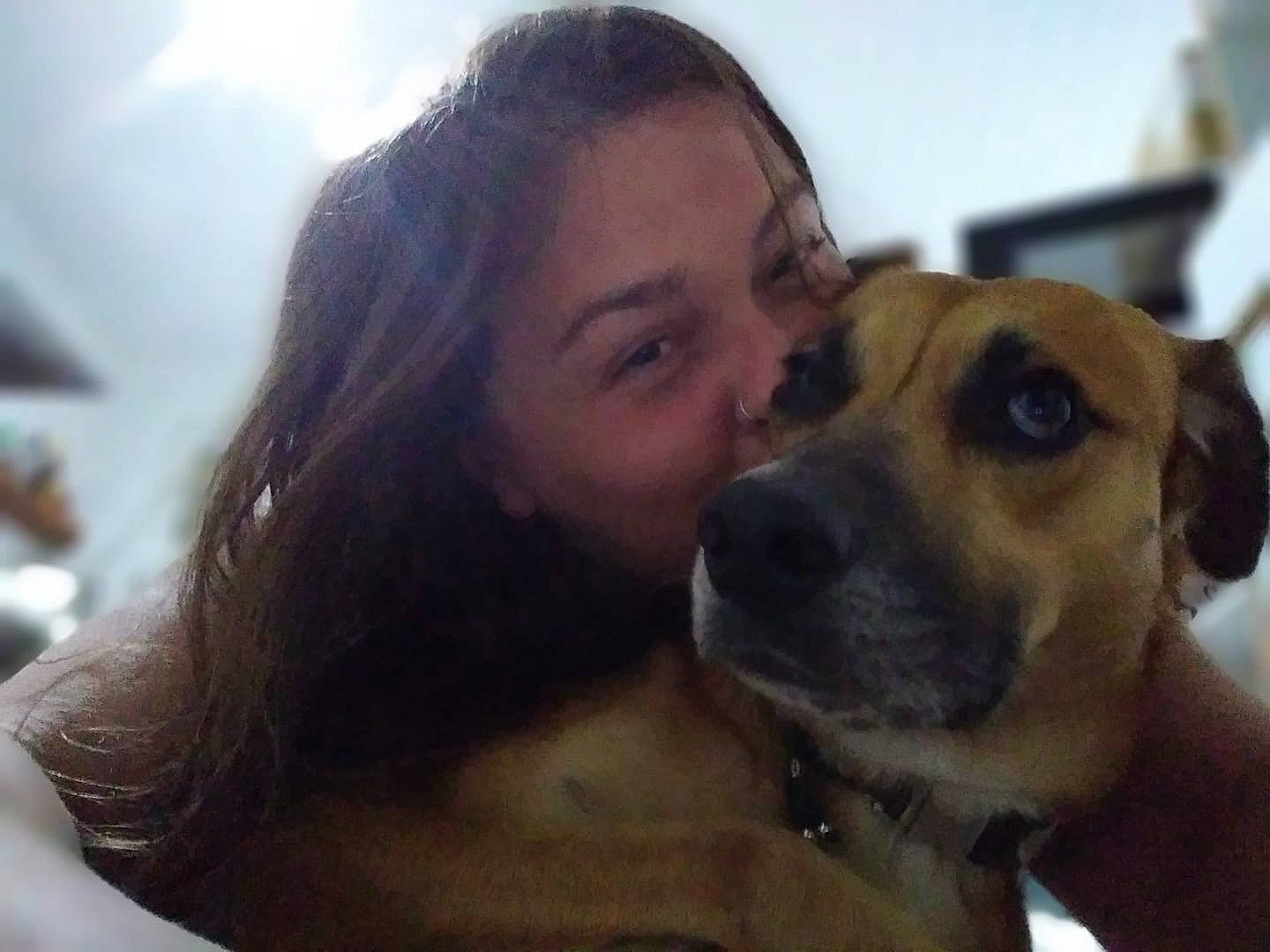 Oroyo a rejoint le concours — aidez-le/la à gagner de superbes lots ! canidae, carnivore, companion_dog, dog, dog_breed, ear, fawn, fun, fur, gesture, guard_dog, happy, jaw, nose, selfie, smile, snout, sporting_group, whiskers, working_animal