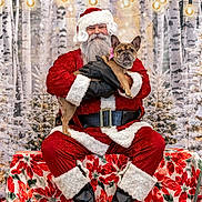 Brecken is registered to the contest to win money with this photo: santa_claus, dog, french_bulldog, christmas, holiday, winter, snow, trees, lights, festive, red_clothing, beard, gloves, belt, bench, decorations, portrait, smile, indoors, celebration
