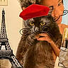 Blair is registered to the contest to win money with this photo: cat, person, beret, mustache, illustration, eiffel_tower, baguettes, bread, indoor, black_cat, yellow_eyes, hand, smile, face, drawing, funny, costume, portrait, wall, light_switch