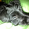 Eros participe au concours pour gagner de l'argent avec cette photo :