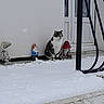 Altesse a rejoint le concours — aidez-le/la à gagner de superbes lots ! cat, ceramic_ornament, cold, concrete_step, decor, door, doorstep, garden_gnome, mushroom_statue, outdoor, peaceful, pet, porch, railing, sitting, snow, statue, tabby_cat, white_wall, winter
