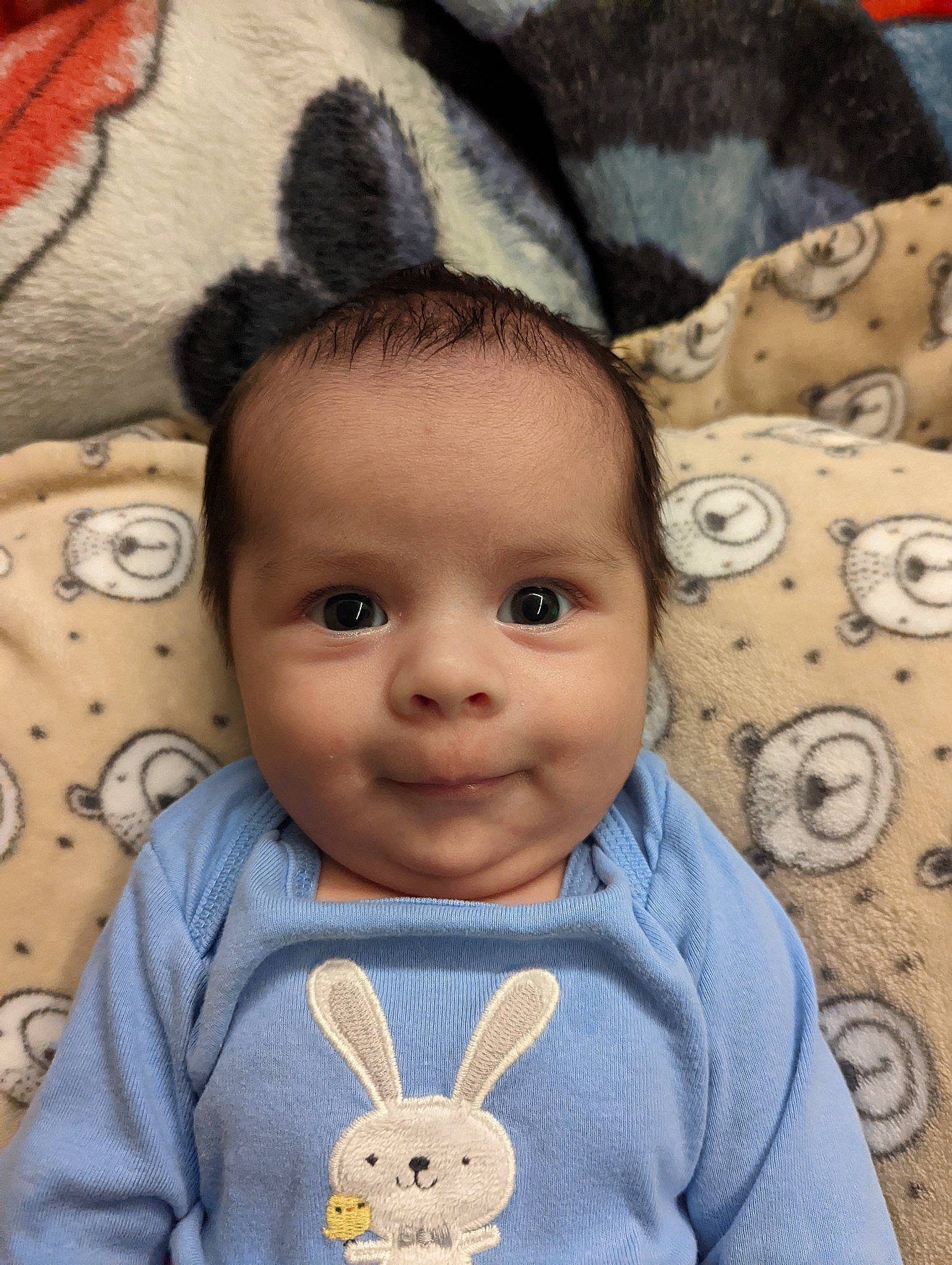 Reiner is registered to the contest to win money with this photo: baby_toddler_clothing, blue, cheek, chin, cool, eye, face, forehead, hair, happy, head, nose, organ, outerwear, person, skin, sleeve, smile, textile, vertebrate