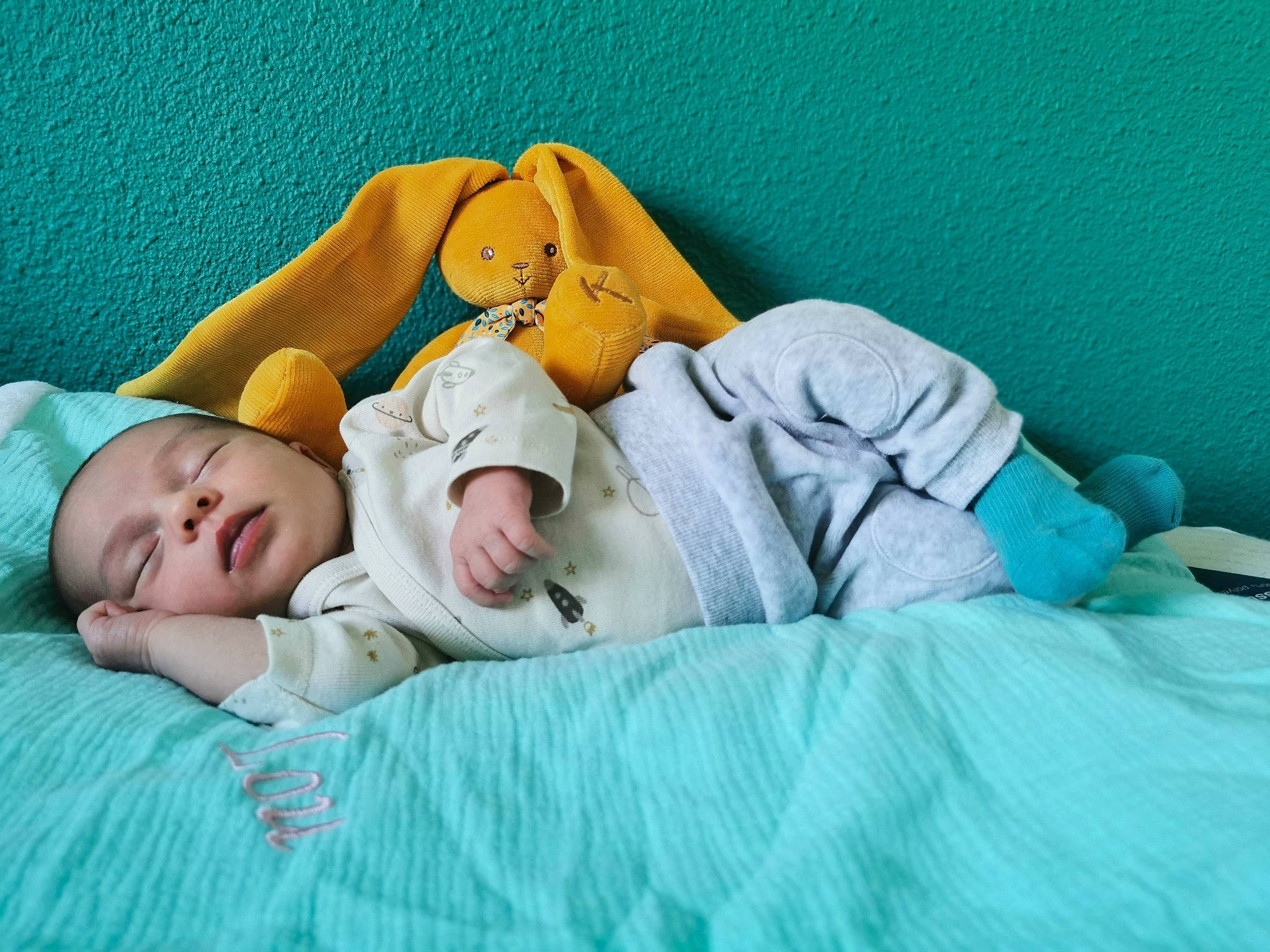 Lou participe au concours pour gagner de l'argent avec cette photo : arm, baby, baby_sleeping, baby_toddler_clothing, bedding, bedtime, child, comfort, eye, face, grass, hand, hat, head, human_body, linens, nap, person, room, skin