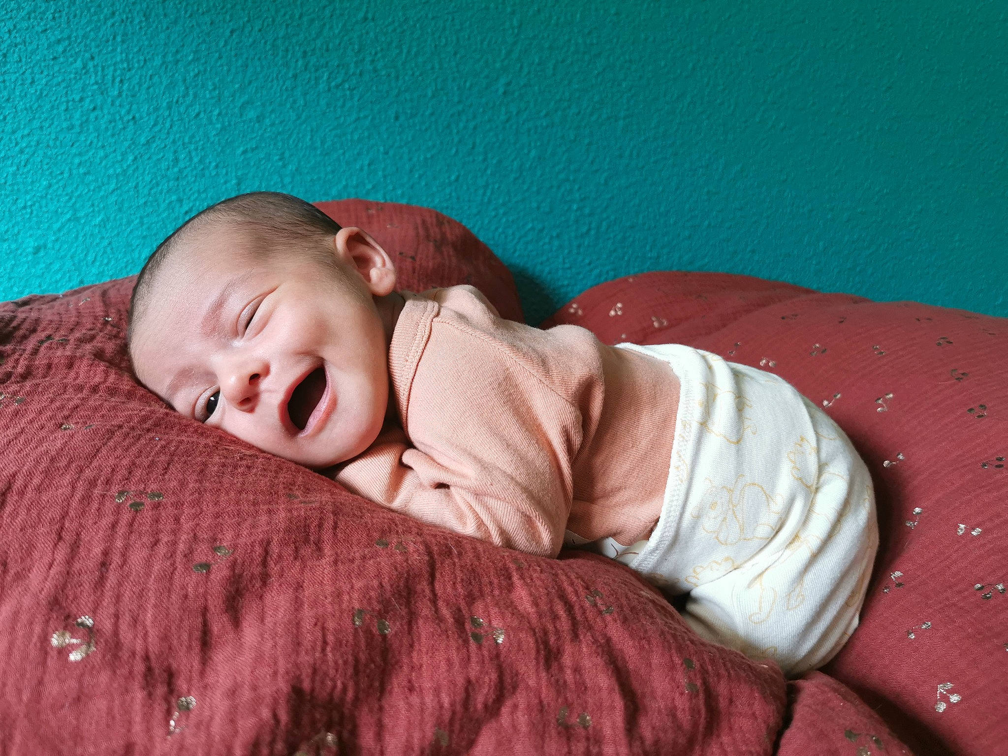 Lou participe au concours pour gagner de l'argent avec cette photo : baby, baby_sleeping, baby_toddler_clothing, bedtime, cheek, child, chin, collar, comfort, face, fur, head, linens, nap, person, portrait_photography, room, skin, sleep, sleeve