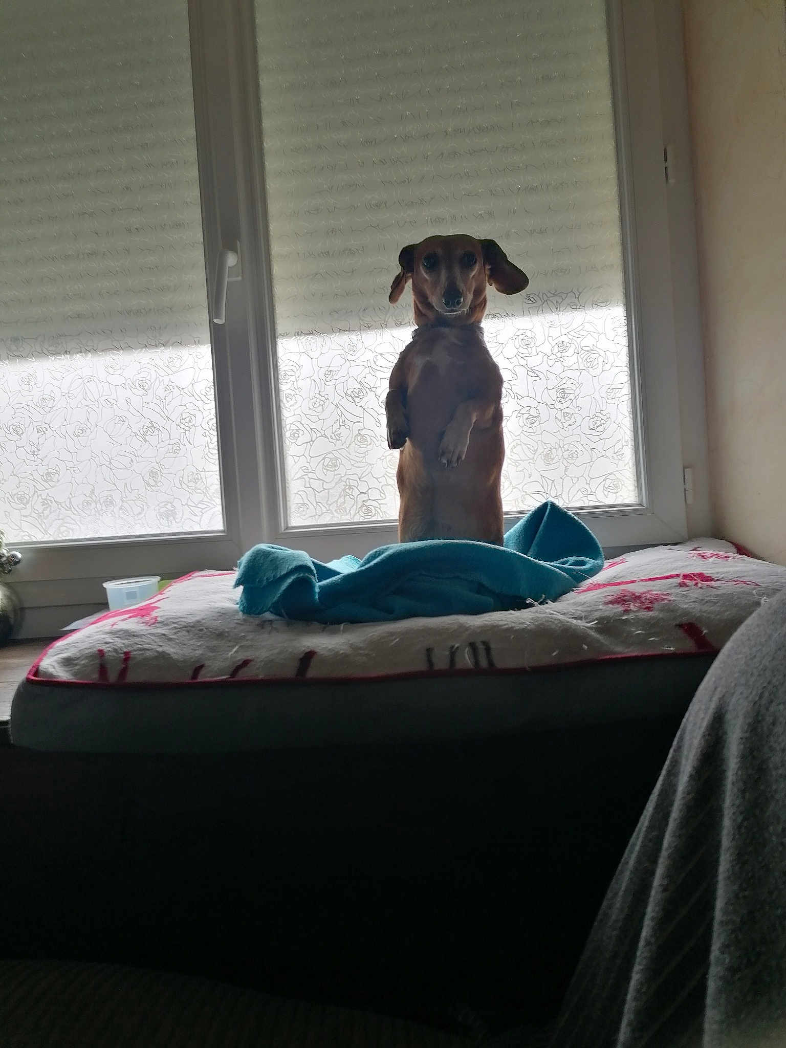 Leeloo