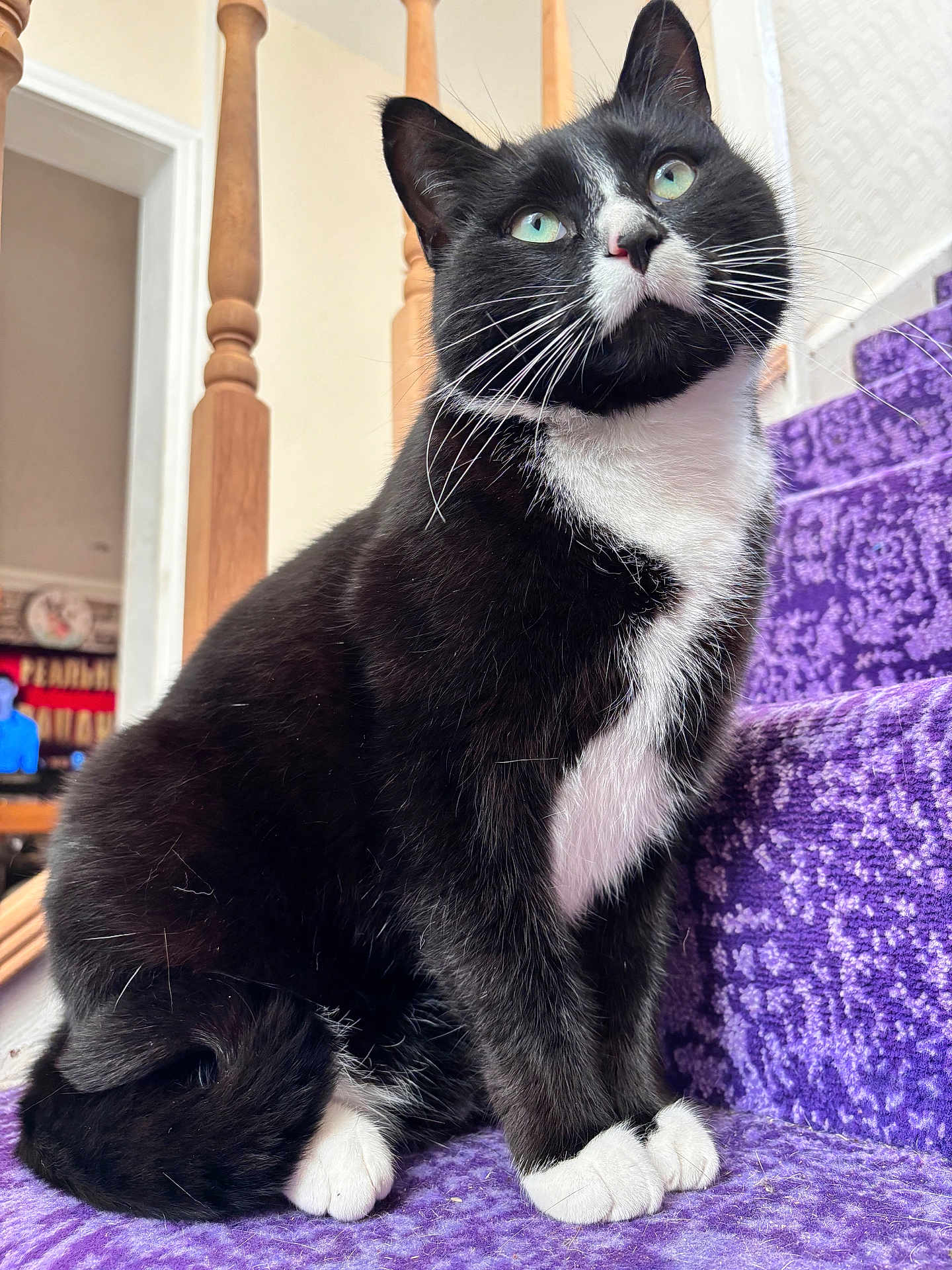 Luca