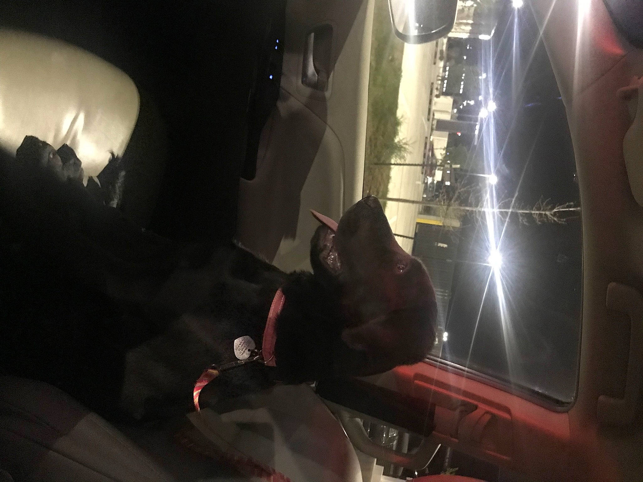 Ellie Mae is registered to the contest to win money with this photo: auto_part, automotive_design, automotive_exterior, automotive_lighting, automotive_window_part, darkness, event, fictional_character, fun, glass, luxury_vehicle, machine, midnight, mode_of_transport, night, room, space, transport, vehicle_door, window