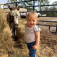 Sadie joined the competition — help win amazing prizes! animal, child, cloudy_sky, cute, dirt, donkey, farm, fence, grass, hay, jeans, nature, outdoor, pet, shirt, shoes, smile, toddler, trees, young_child