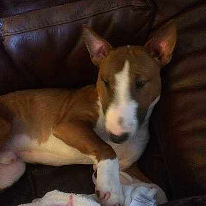 Ralphy is registered to the contest to win money with this photo: