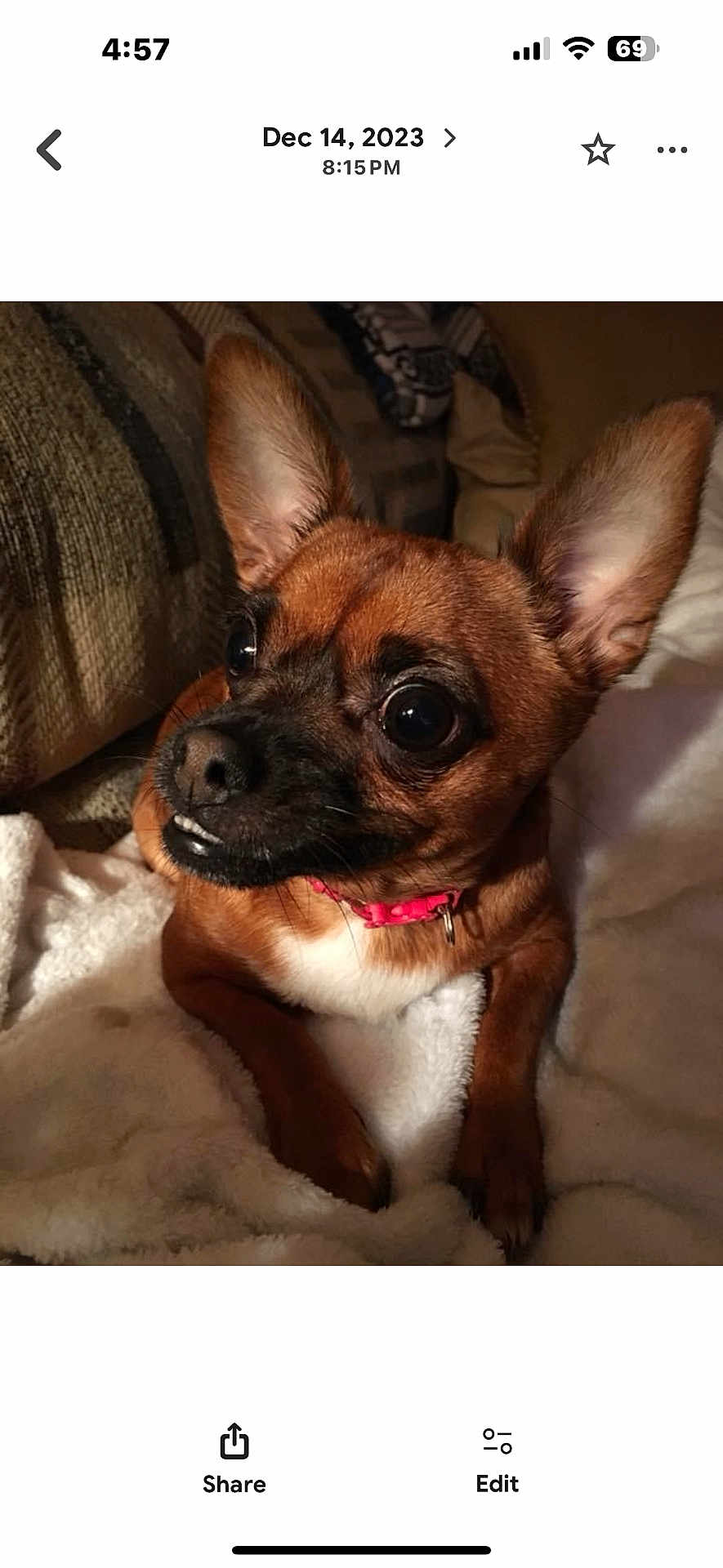 Angel