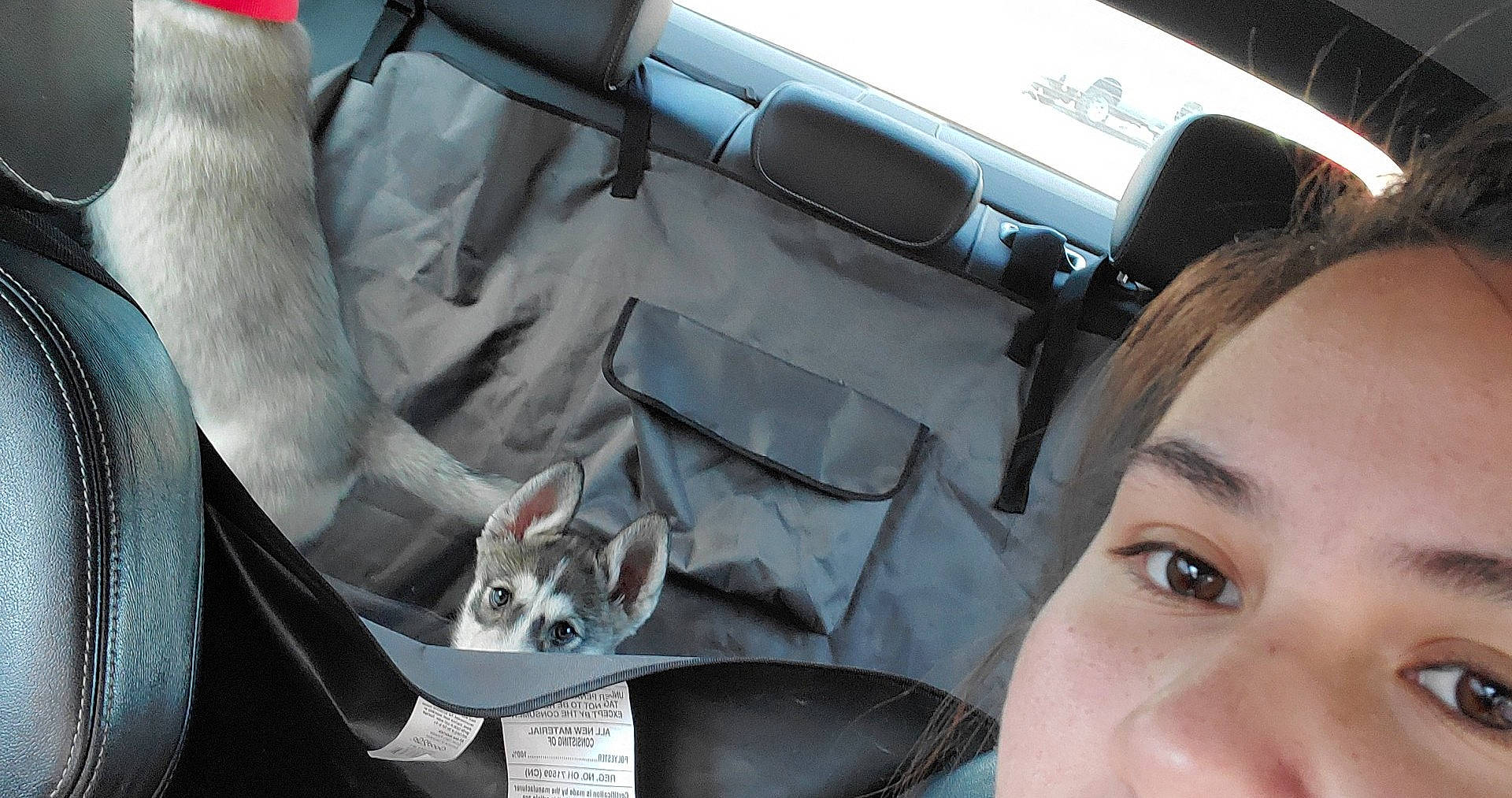Yuki joined the competition — help win amazing prizes! auto_part, automotive_exterior, car, car_seat, family_car, seat_belt, steering_part, vehicle, vehicle_door