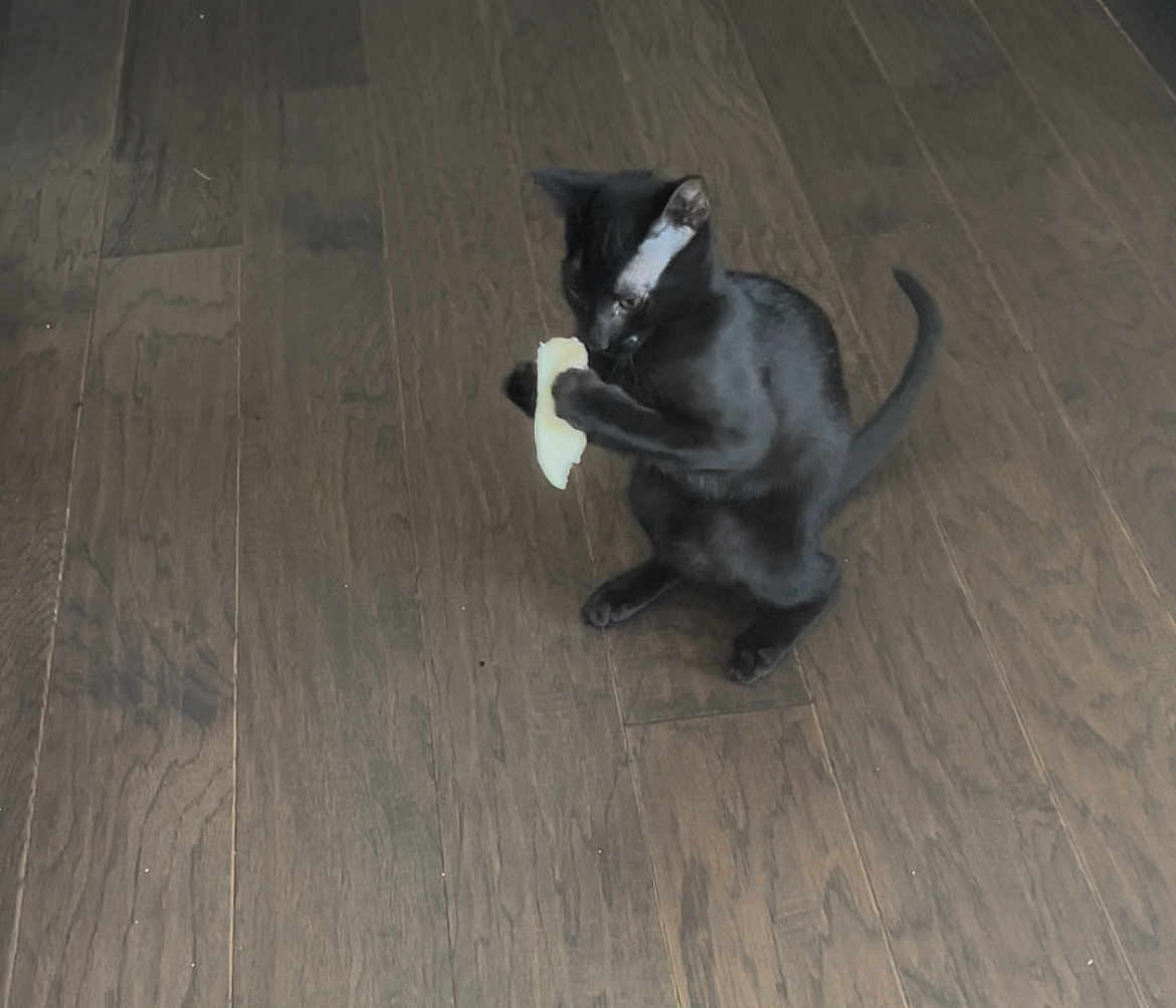 Tux