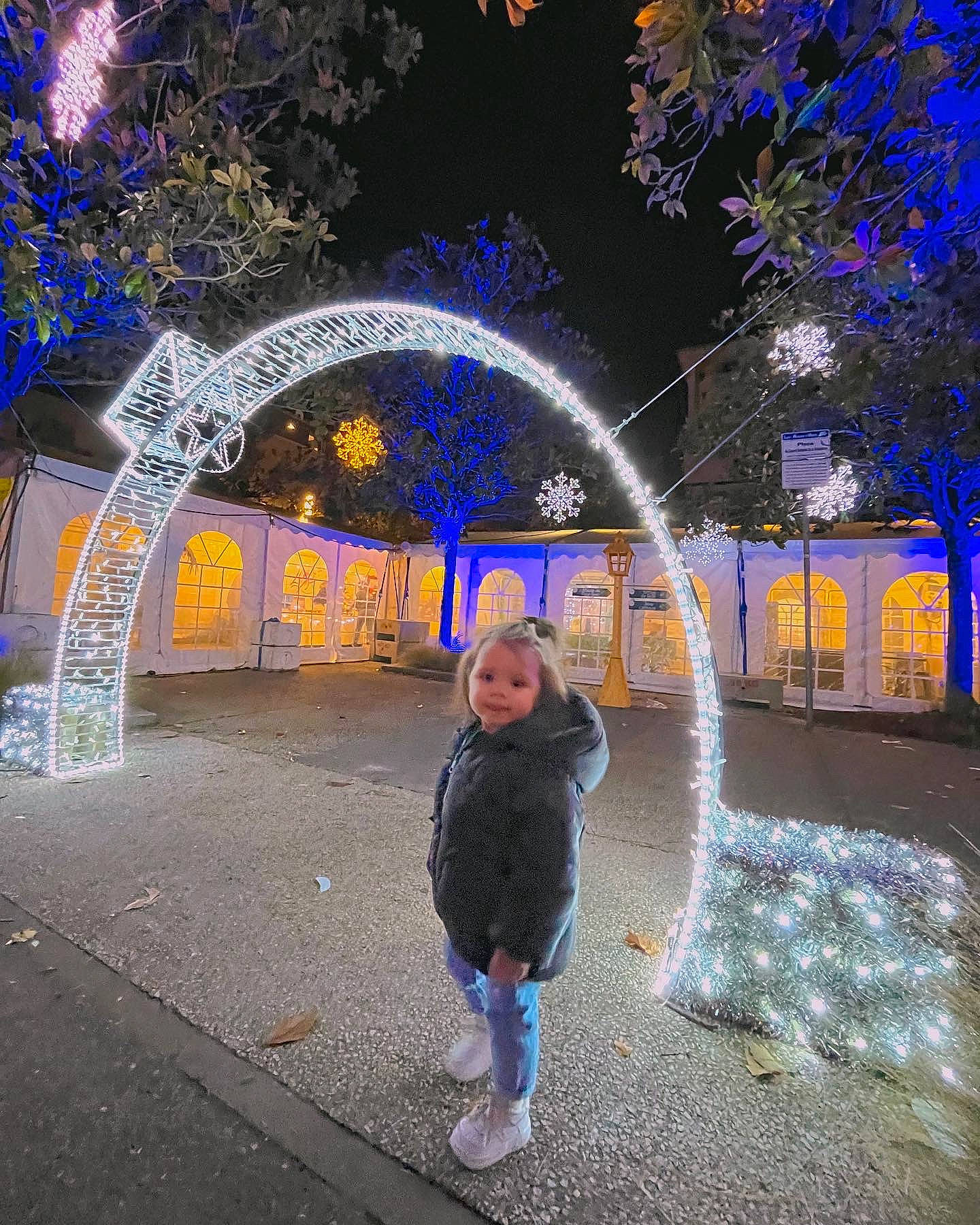 Luana a rejoint le concours — aidez-le/la à gagner de superbes lots ! blue, branch, christmas_decoration, city, darkness, electric_blue, event, fun, happy, holiday, leisure, midnight, person, plant, purple, road_surface, street_light, tree, urban_area, winter