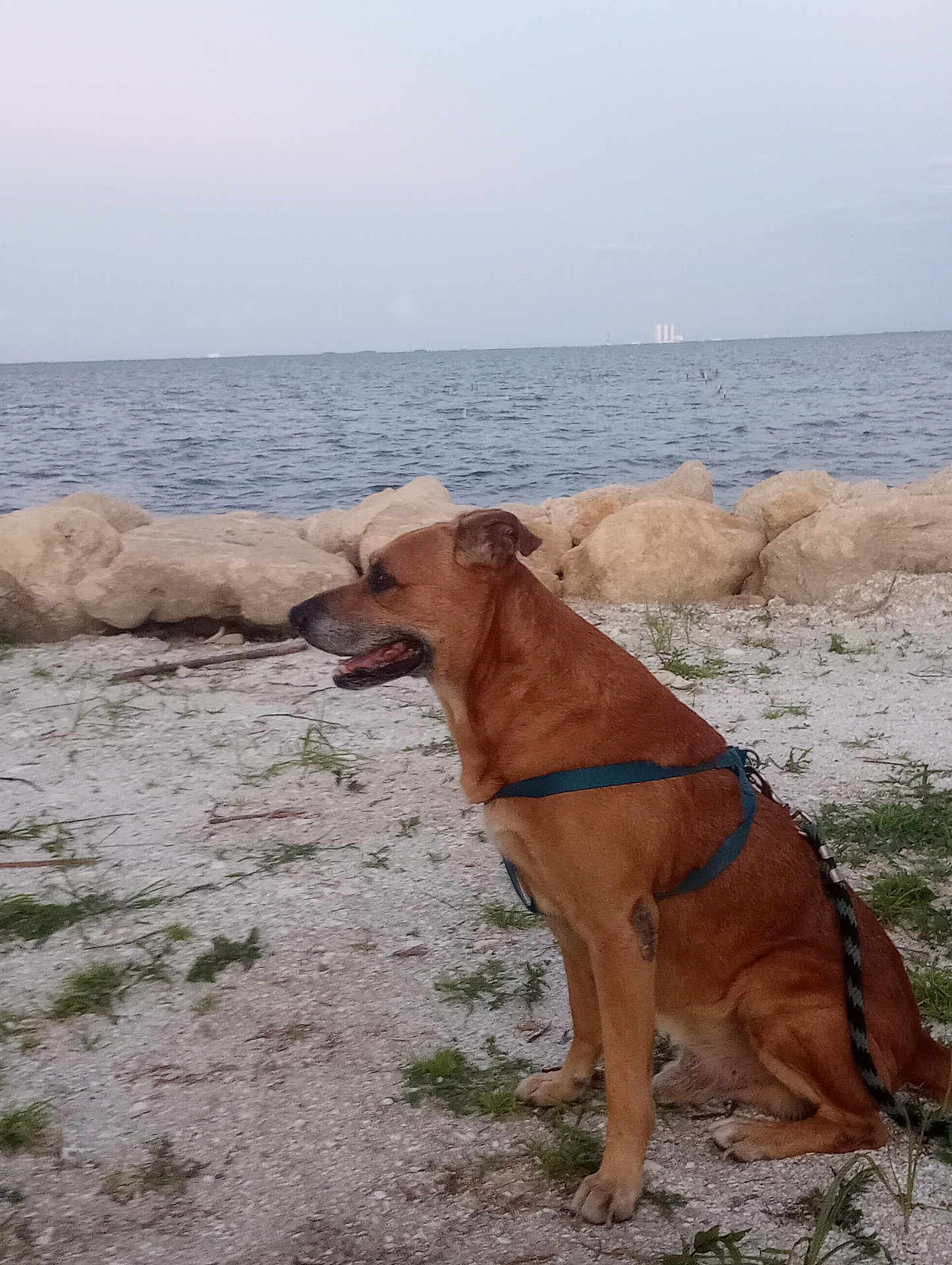 Kahuna