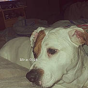 Kiara participe au concours pour gagner de l'argent avec cette photo :