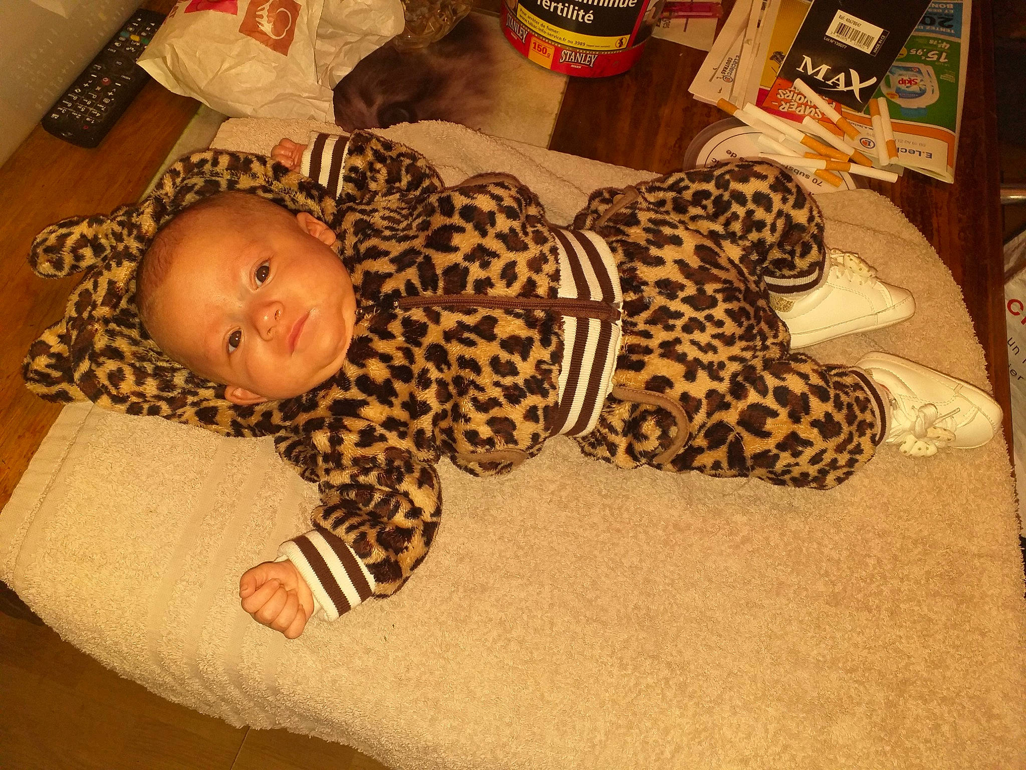 Lily a rejoint le concours — aidez-le/la à gagner de superbes lots ! baby, baby_products, child, felidae, person, product, toddler