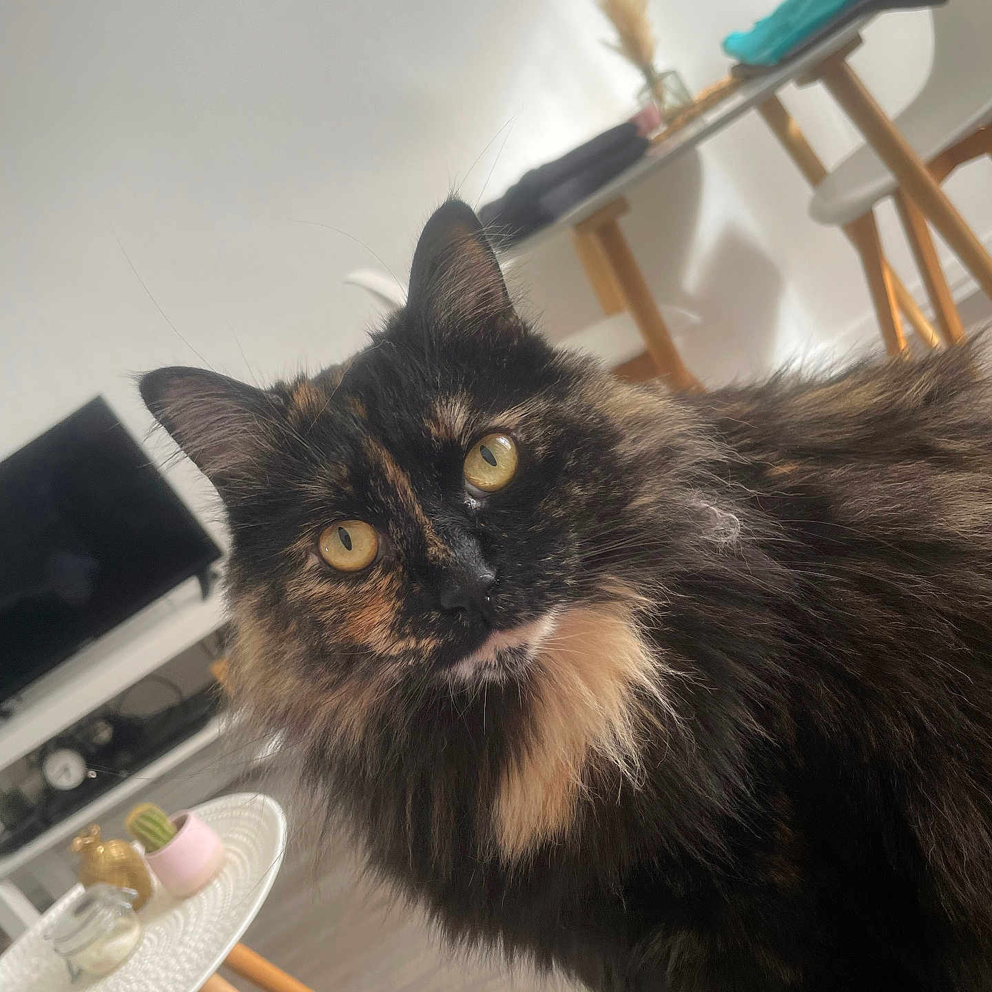 Croquette