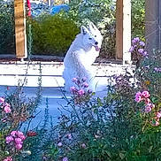 Ghandi a rejoint le concours — aidez-le/la à gagner de superbes lots !