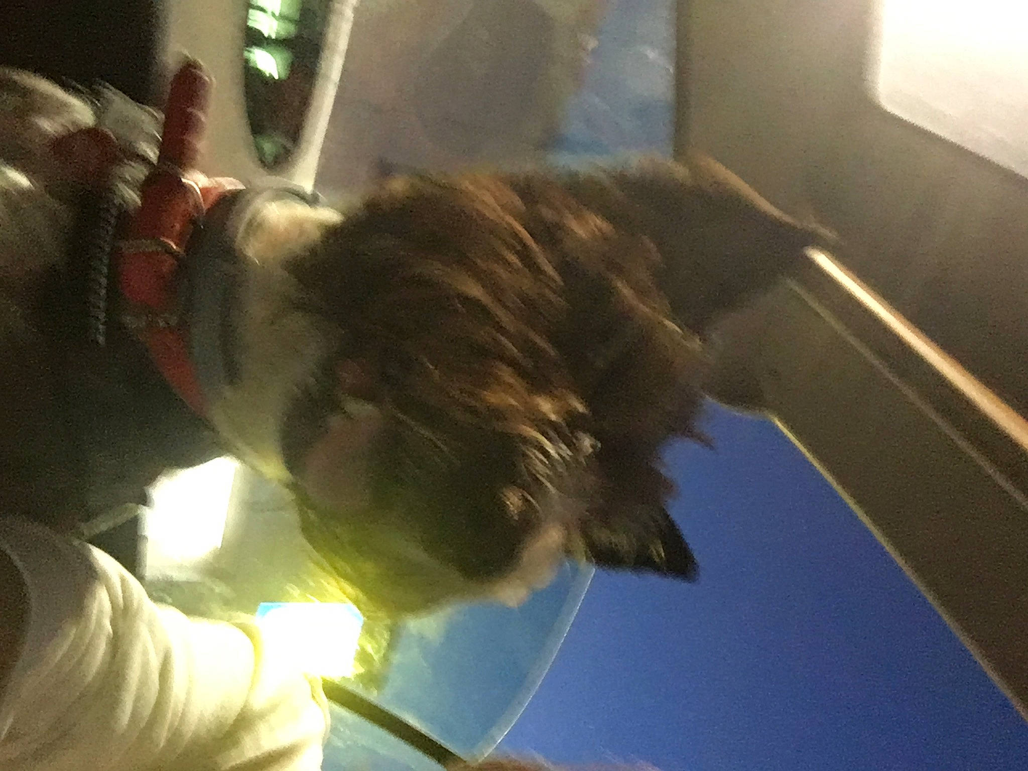 Mandy a rejoint le concours — aidez-le/la à gagner de superbes lots ! automotive_window_part, fun, gesture, glass, metal, science, window, windshield