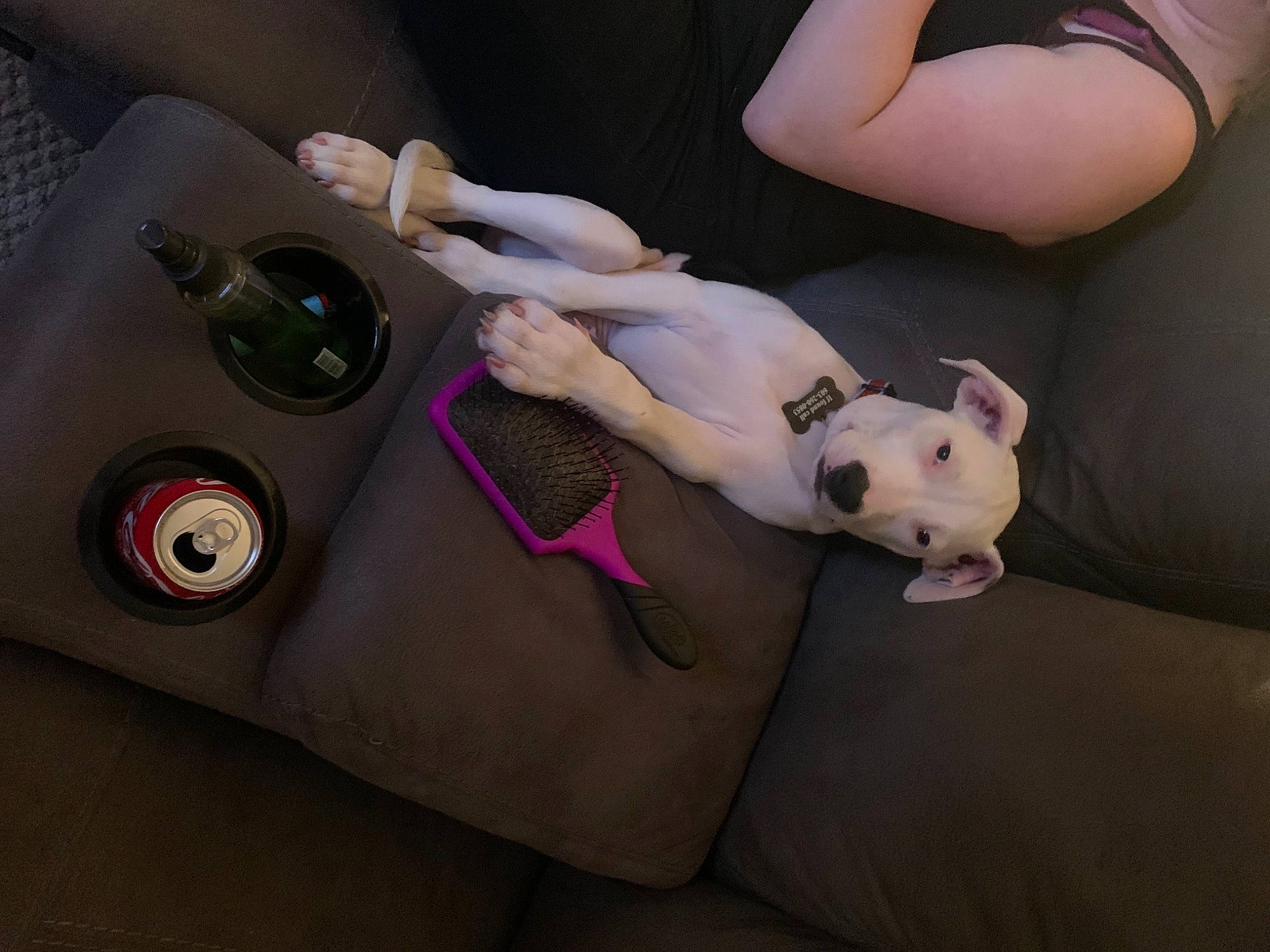 Brody is registered to the contest to win money with this photo: abdomen, arm, audio_equipment, auto_part, automotive_design, comfort, companion_dog, fawn, gadget, human_leg, joint, knee, leg, nail, stuffed_toy, thigh, toy, trunk, vehicle_door, wrist
