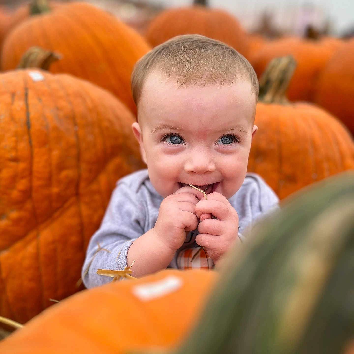 Demi joined the competition — help win amazing prizes! baby, bodypart, countryside, face, farm, finger, food, hand, harvest, head, nature, outdoors, person, photography, plant, portrait, produce, pumpkin, squash, vegetable