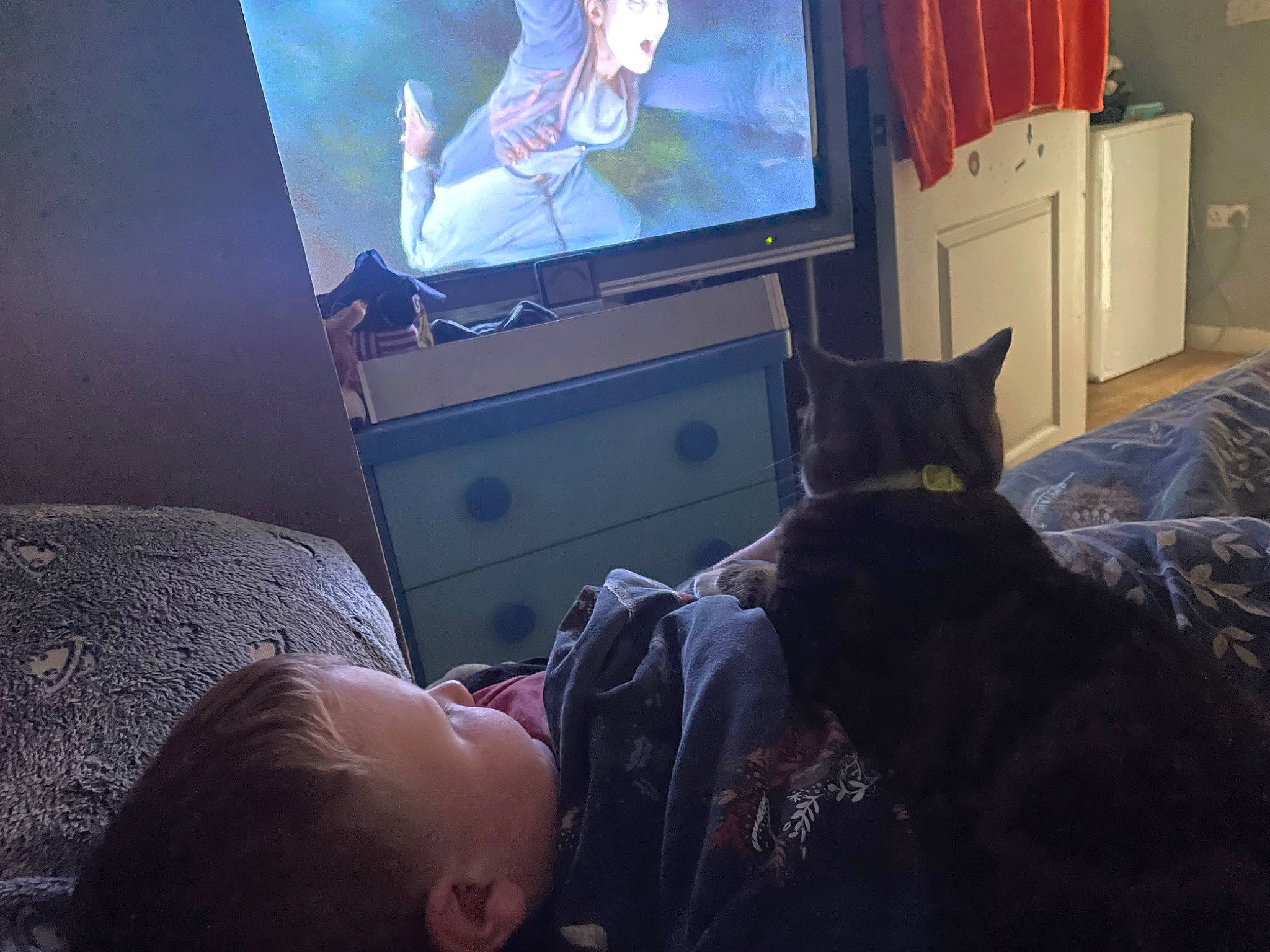 Twix is registered to the contest to win money with this photo: bed, bedding, cabinetry, carnivore, cat, chest_of_drawers, comfort, drawer, felidae, hardwood, house, lamp, lighting, linens, pillow, room, small_to_medium_sized_cats, television, television_set, whiskers