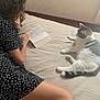 Louna a rejoint le concours — aidez-le/la à gagner de superbes lots ! bed, book, calm, cat, comfort, curly_hair, dress, feline, gray_cat, home, indoor, leisure, natural_light, person, polka_dot, quiet, reading, relaxing, resting, white_cat