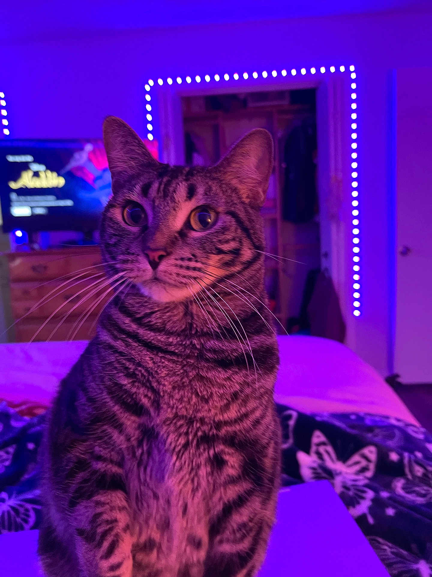 Fiona