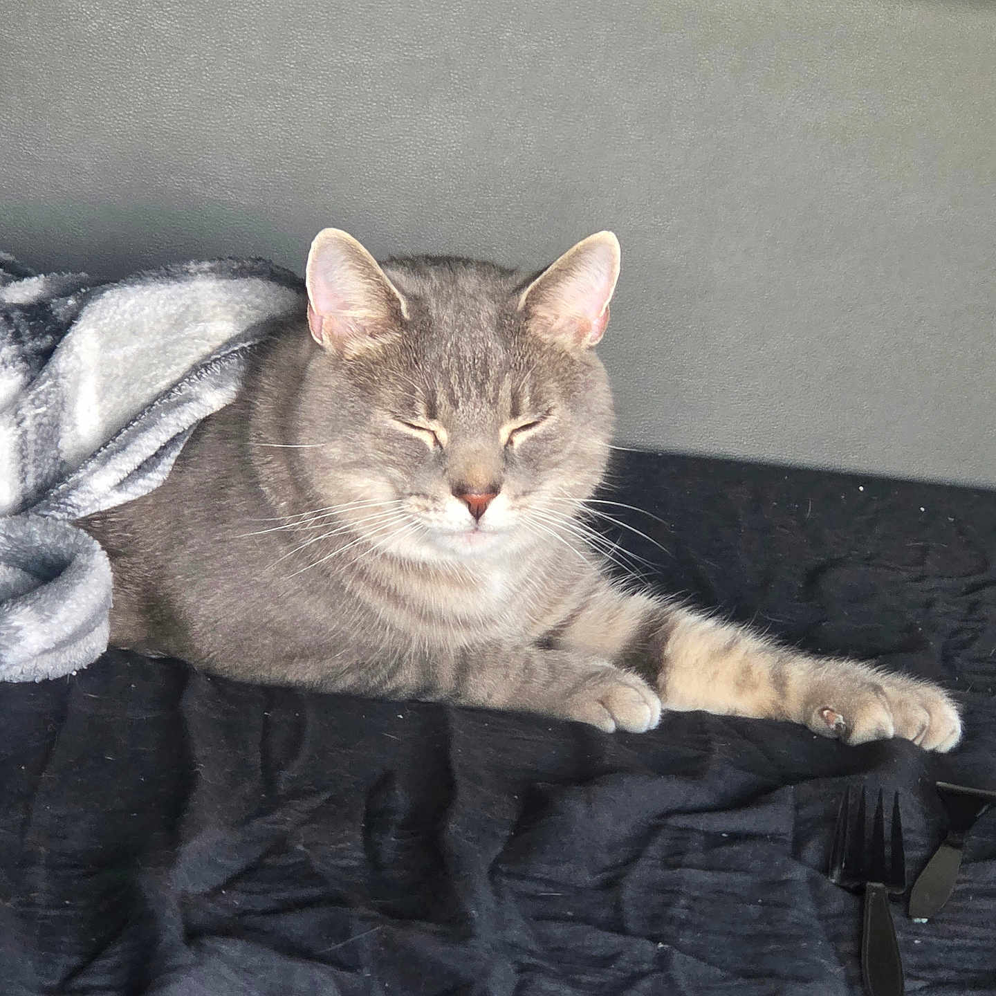 Tyson