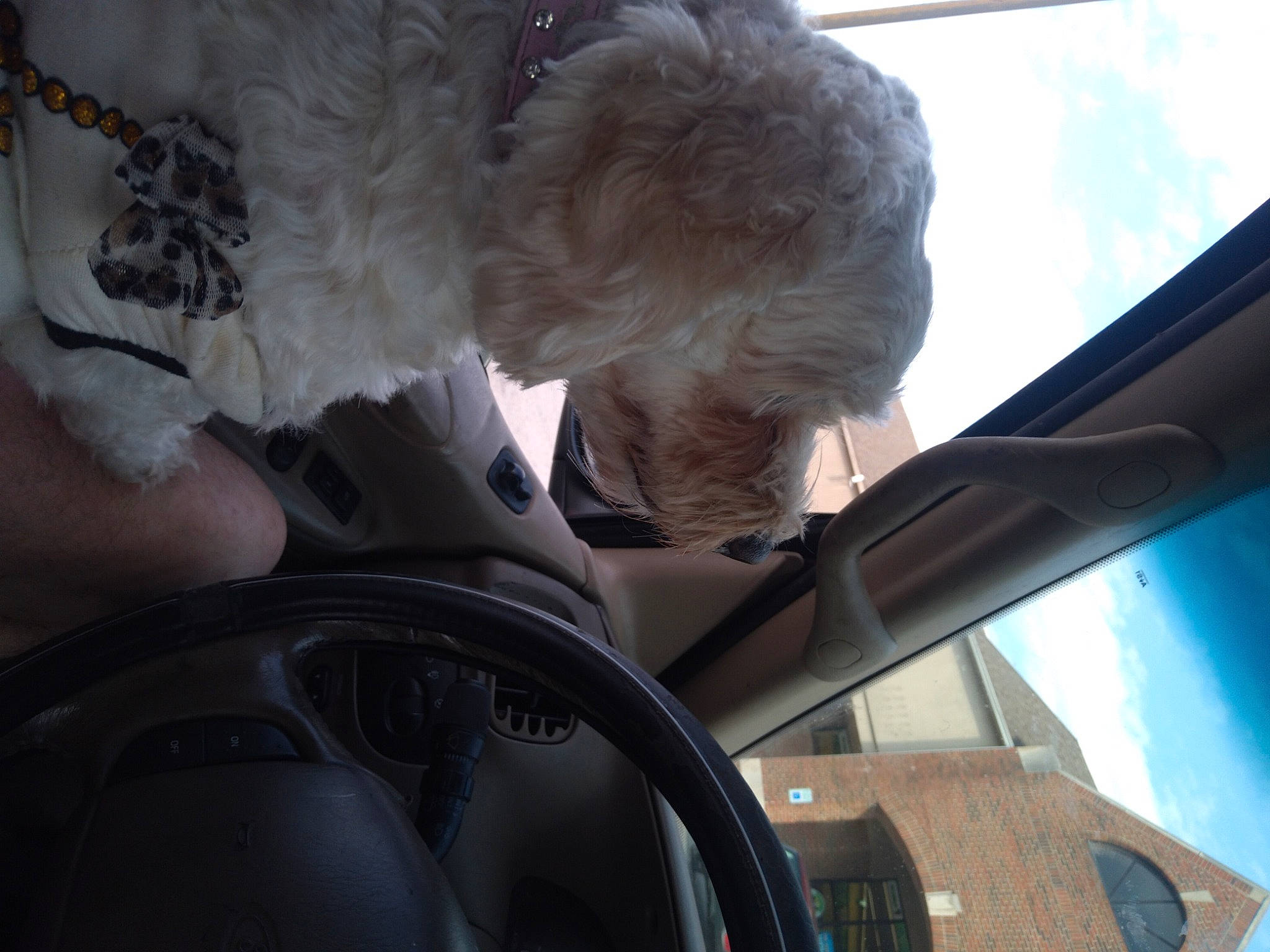 Winter is registered to the contest to win money with this photo: auto_part, automotive_design, automotive_exterior, automotive_mirror, automotive_window_part, car, car_seat, eyewear, family_car, glass, motor_vehicle, personal_luxury_car, rear_view_mirror, steering_part, steering_wheel, tints_and_shades, vehicle, vehicle_door, window, windshield