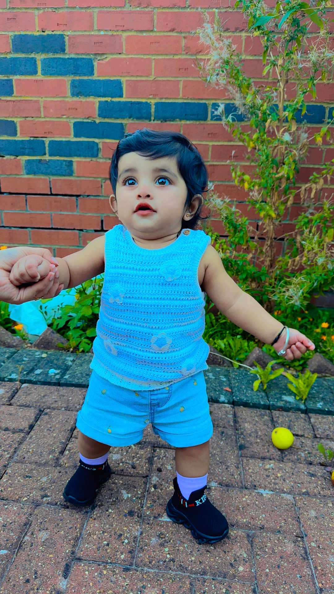 Avinaaz is registered to the contest to win money with this photo: toddler, child, person, blue_clothing, shorts, crocheted_top, black_shoes, purple_socks, hand_holding, brick_wall, plants, outdoor, pavement, walking, cute, young_child, expression, greenery, summer, daylight