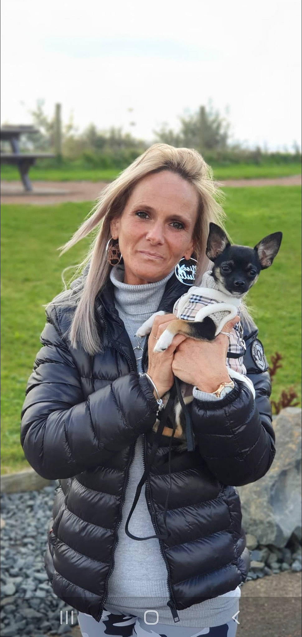 Ace is registered to the contest to win money with this photo: canidae, carnivore, cat, companion_dog, dog, dog_breed, fawn, wildlife_biologist