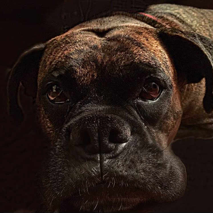 Roxy joined the competition — help win amazing prizes!