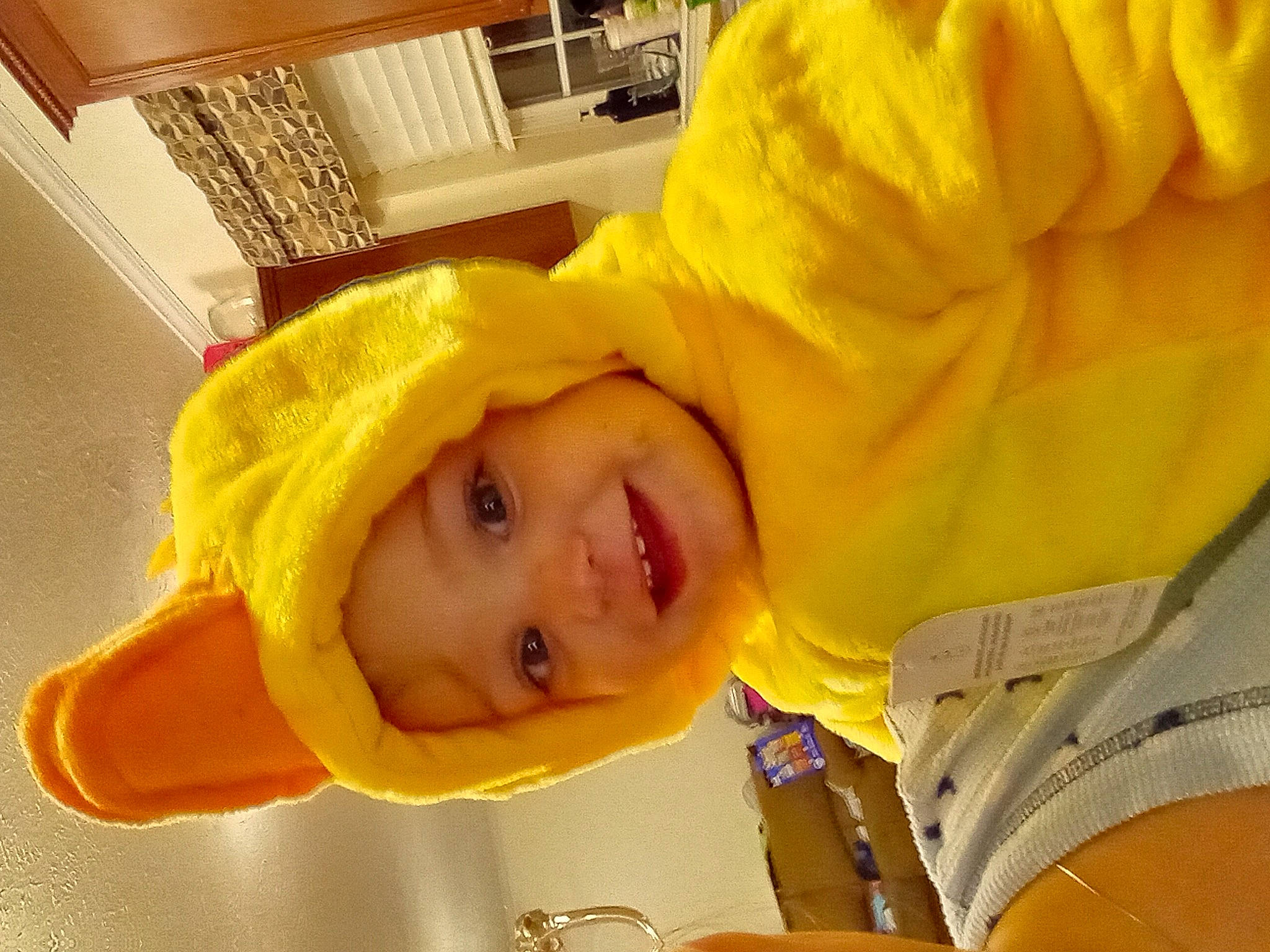 Melody is registered to the contest to win money with this photo: baby, baby_products, child, eyebrow, fun, happy, hat, headwear, hoodie, joy, laugh, nose, orange, person, plant, room, selfie, smile, toddler, tree