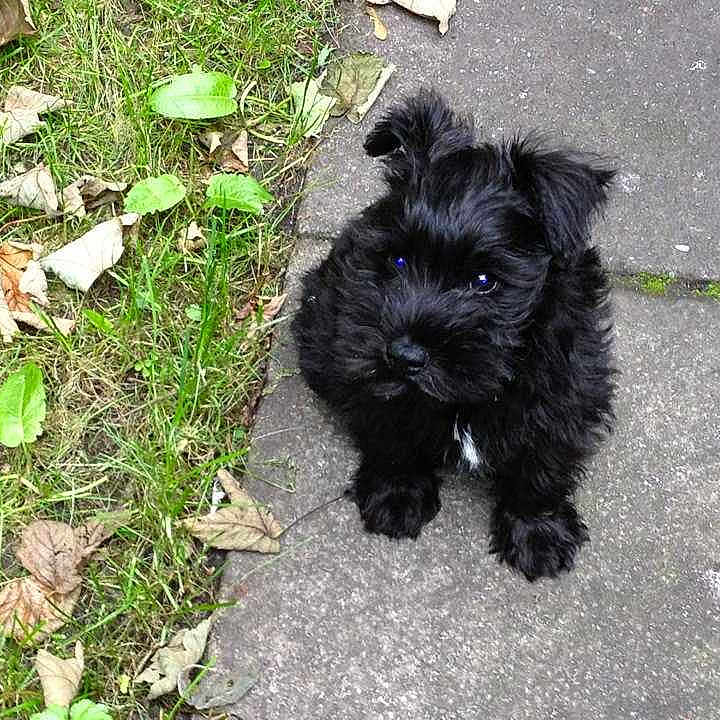 Huggy is registered to the contest to win money with this photo: