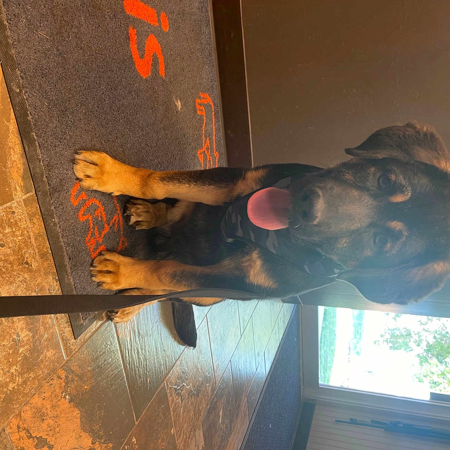 Leo