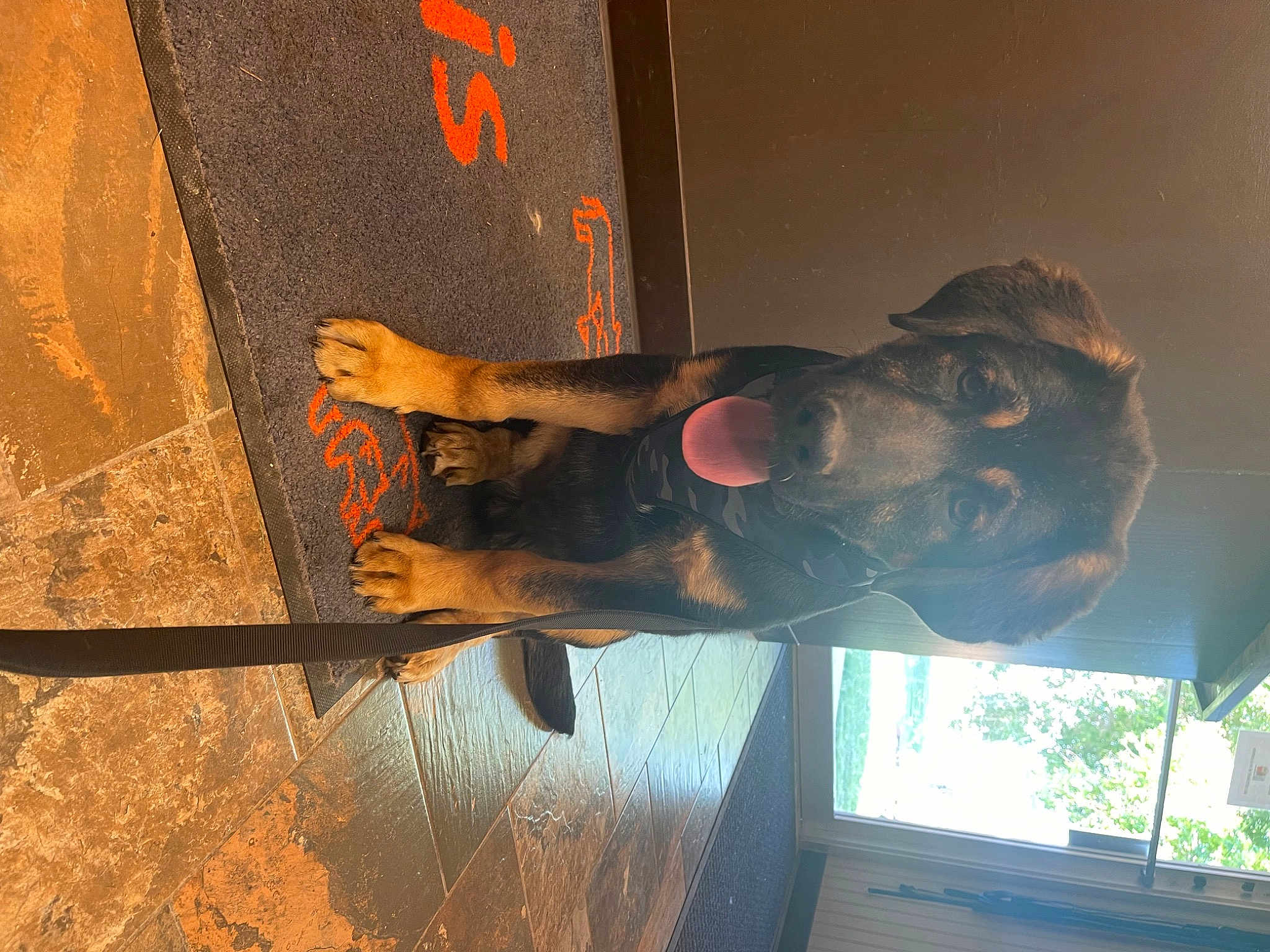 Leo