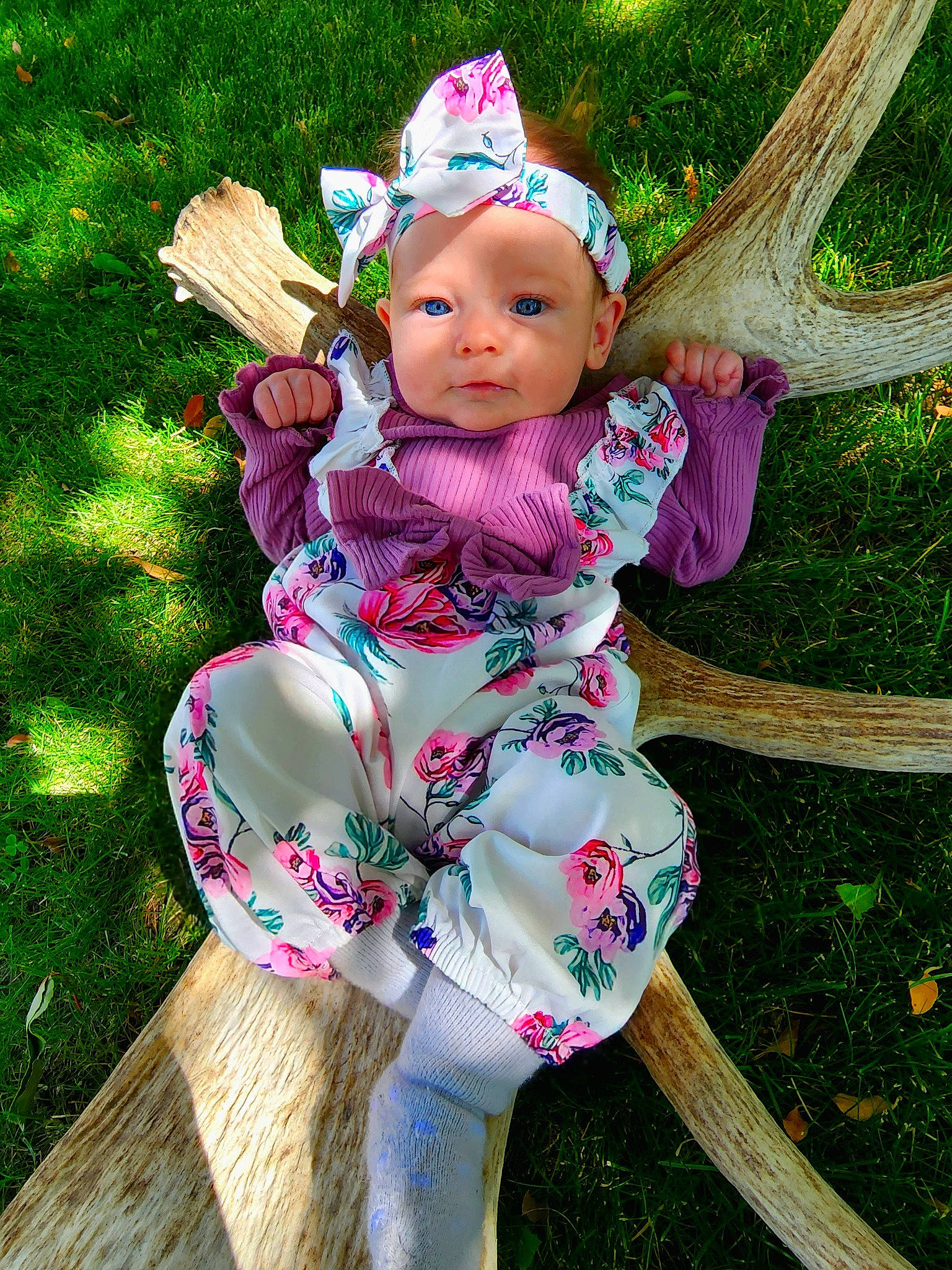 Mackenna is registered to the contest to win money with this photo: baby, baby_products, baby_toddler_clothing, chair, child, fashion_accessory, fawn, grass, happy, headband, headwear, magenta, pattern, people_in_nature, person, pink, plant, purple, recreation, sitting